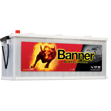 batterie BANNER PL /TP 61020 12V 110AH 760A